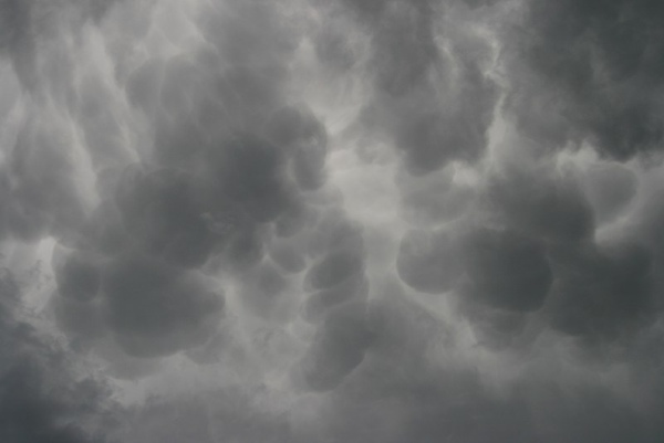 Eifelmammatus0507 029a.jpg